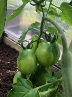 20240616 (5).jpg 20240616 (5).jpg