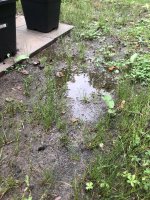 IMG_3304.jpeg