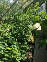 20240625_T (3).jpg 20240625_T (3).jpg