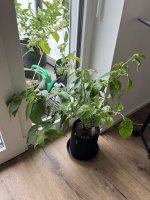 IMG_7828.jpeg