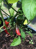 20240701 (2).jpg 20240701 (2).jpg