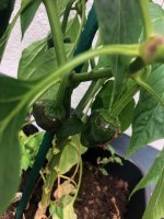 20240701 (4).jpg 20240701 (4).jpg