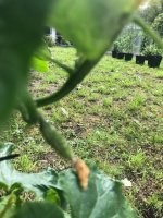 20240702 (1).jpg 20240702 (1).jpg