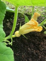 20240702 (2).jpg 20240702 (2).jpg