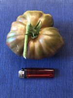 IMG_3381.jpeg