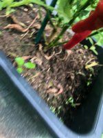 20240711 (1).jpg 20240711 (1).jpg