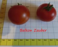 Balkonzauber.jpg