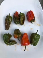 IMG_3476.jpeg