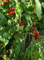 IMG_3483.jpeg