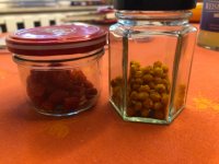 IMG_3580.jpeg