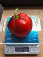 Rocoto_ArequipaRed (1).jpg