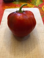 Rocoto_ArequipaRed (2).jpg