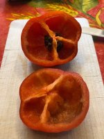 Rocoto_ArequipaRed (3).jpg