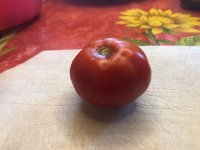 Heinz (1).jpg Heinz (1).jpg