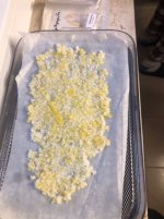 IMG_3729.jpeg