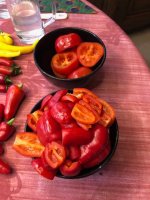 Rocoto_Konfitüre (1).jpg