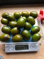 Rocoto_OlivMini.jpg