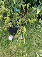 IMG_9120.JPEG