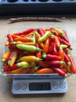 Tabasco (2).jpg