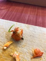 SamenInChili (2).jpg