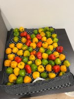 IMG_9191.JPEG