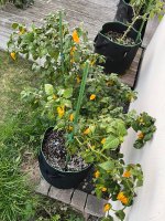 IMG_9175.JPEG