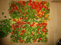 Letzte Ernte, 01.11.2024, b, 19.42 Uhr.jpg