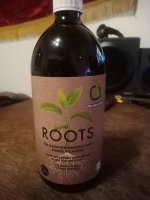 roots1.jpg