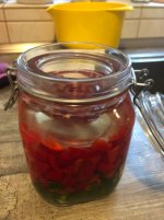 IMG_3933.jpeg