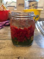 IMG_3935.jpeg
