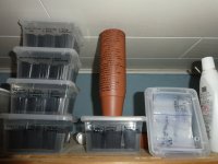 Chilianbau, Vorbereitungen für 2025, am 09.12.2024, 13.36 Uhr.jpg