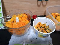 IMG_20241022_233127478.jpg