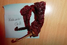 Kashmiri Chili, 06.03.2025, 20.20 Uhr.jpg