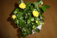 Internationaler Frauentag, 08.03.2025, 16.45 Uhr.jpg