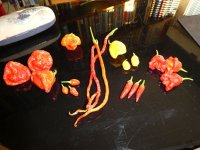 Erntetag 01.04.2025.jpg