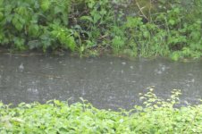 Unwetter, b, 23.04.2025, 17.36 Uhr.jpg