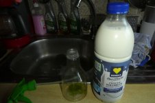 Vollmilch gegen Blattäuse, a, 30.05.2025, 19.32 Uhr.jpg