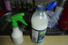 Vollmilch gegen Blattäuse, b, 30.05.2025, 19.33 Uhr.jpg