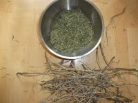 Rosmarin, 29.06.2025, 15.04 Uhr.jpg