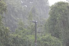 Starkregen, 14.07.2025, 13.59 Uhr.jpg