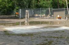 Starkregen, 27.07.2025, 11.17 Uhr.jpg