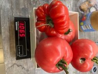 20250809_Tomatenkonfitüre (1).jpg