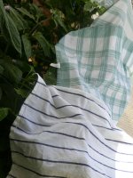 Chili-Hitzeschutz, 13.08.2025, 13.55 Uhr.jpg Chili-Hitzeschutz, 13.08.2025, 13.55 Uhr.jpg