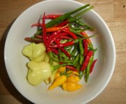 Chili Ernte, b, 14.08.2025, 18.35 Uhr.jpg Chili Ernte, b, 14.08.2025, 18.35 Uhr.jpg