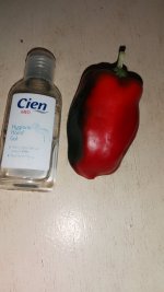 IMG_20250820_165048.jpg