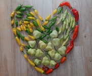 Chili-Ernte, e, 23.08.2025, 15.33 Uhr.jpg