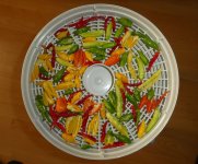 Chili im Dörrautomat, 23.08.2025, 18.17 Uhr.jpg