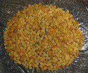 Chiltepin Sonora Red, getrocknetes Saatgut, 11.09.2025, 17.58 Uhr.jpg Chiltepin Sonora Red, getrocknetes Saatgut, 11.09.2025, 17.58 Uhr.jpg