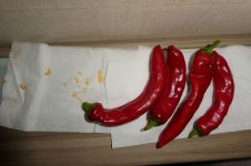 Manganji Togarashi, 27.09.2025, 19.41 Uhr.jpg Manganji Togarashi, 27.09.2025, 19.41 Uhr.jpg