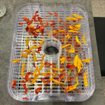 202501007_AF_(3).png